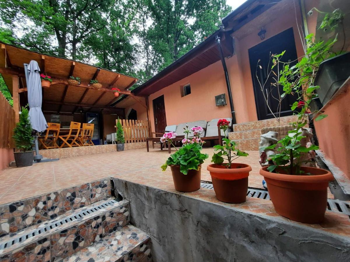 Ieşelniţa Casa De Vacanta Emd المظهر الخارجي الصورة