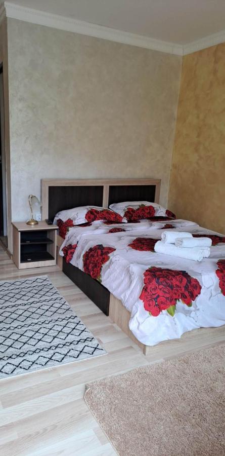 Ieşelniţa Casa De Vacanta Emd المظهر الخارجي الصورة