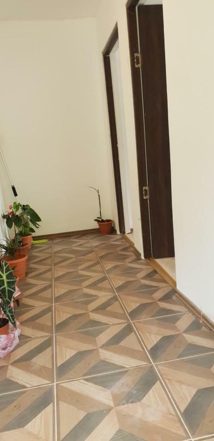 Ieşelniţa Casa De Vacanta Emd المظهر الخارجي الصورة